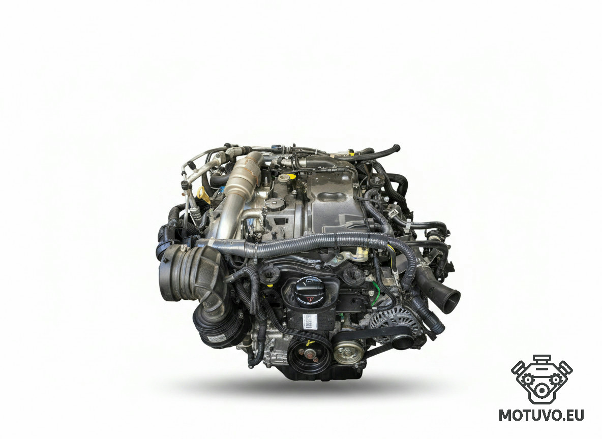 NISERI(仮)  Nissan Navara Engines | Motuvo.eu